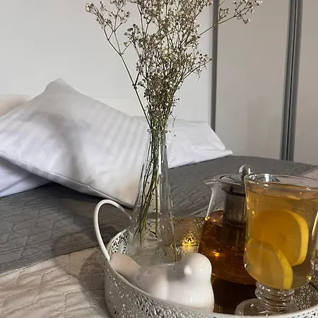 Na Starowce Vii Διαμέρισμα Pszczyna