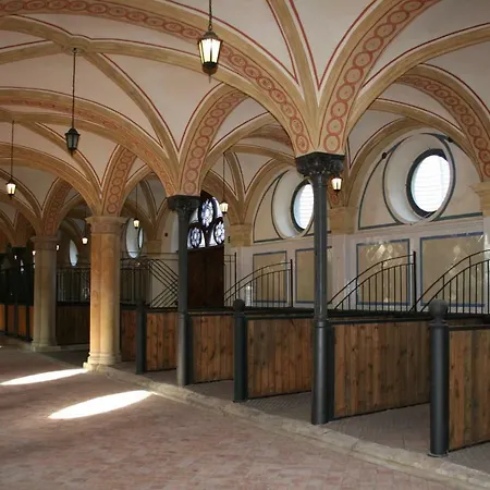 Na Starowce Vii Daire Pszczyna