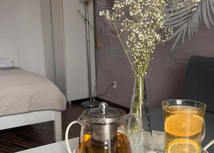 Na Starowce Vii פז'יז'ינה