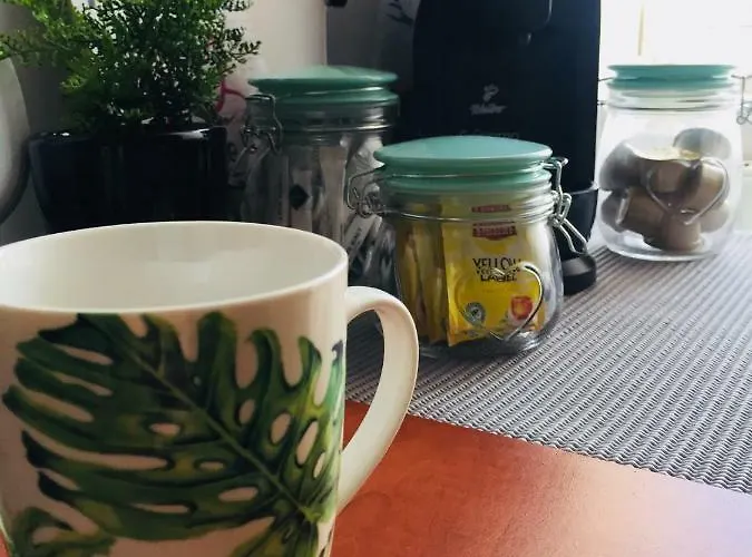 Na Starowce Vii 아파트