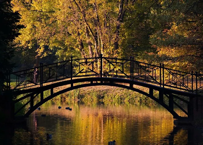 Na Starowce Vii דירה *